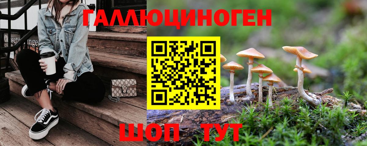Псилоцибиновые грибы Psilocybe  Вход с VPN  Крымск 